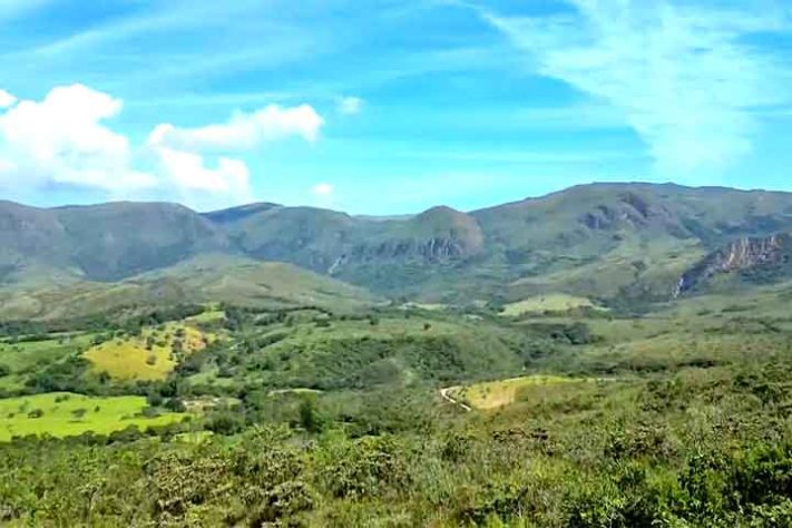 Serra da Canastra - Pato-Mergulhão na Serra da Canastra - Reprodução de vídeo Divulgação