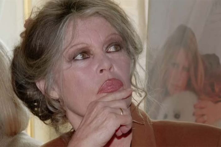 Perfil da atriz francesa Brigitte Bardot 