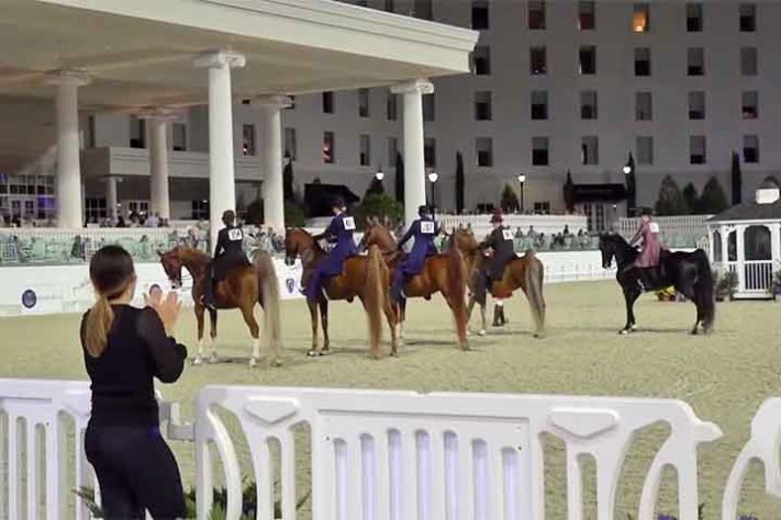 Capital Mundial do Cavalo 