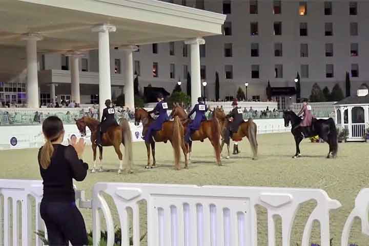 No Brasil, cidades como Colina, JaguariÃºna e AvarÃ© compartilham a honra de serem reconhecidas como a capital nacional do cavalo, cada uma com suas festas, haras e tradiÃ§Ãµes que celebram esse nobre animal.
