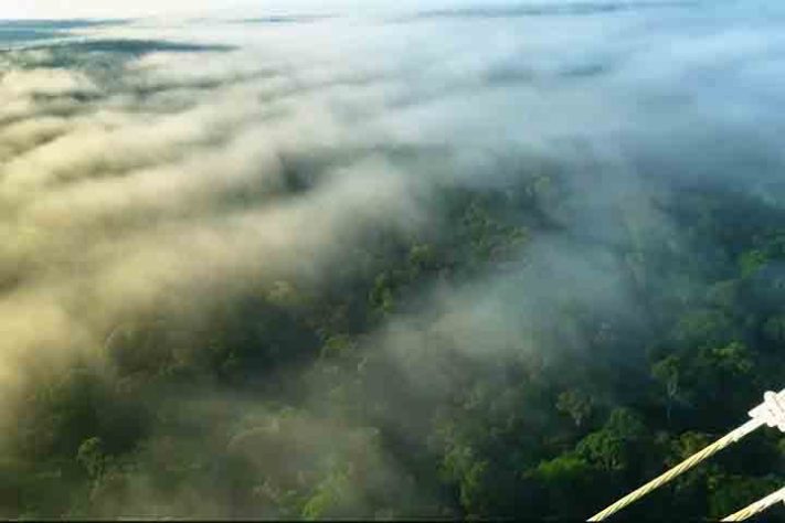 Observatório da Torre Alta da Amazônia