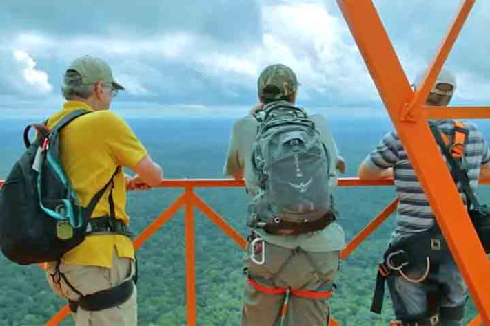 Observatório da Torre Alta da Amazônia