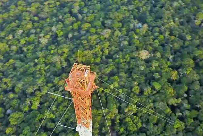Observatório da Torre Alta da Amazônia: como estrutura gigante monitora o clima global