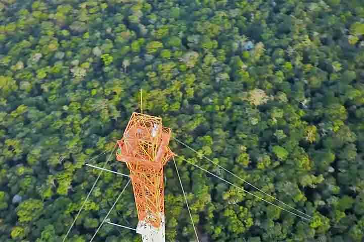 Observatório da Torre Alta da Amazônia, Projeto ATTO - Reprodução de Youtube
