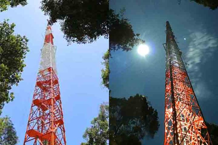 Observatório da Torre Alta da Amazônia