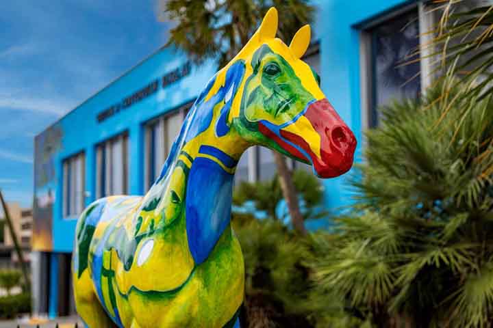 Condado de Marion/Ocala a “Capital Mundial do Cavalo“( Flórida, EUA) - Reprodução do Youtube Canal Do travel