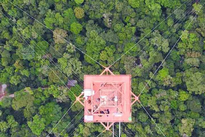 Observatório da Torre Alta da Amazônia