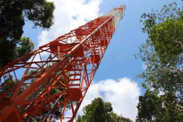 Observatório da Torre Alta da Amazônia