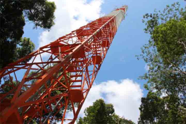 Essa torre principal do ATTO é frequentemente descrita como a estrutura mais alta de pesquisa ambiental da América do Sul. Em comparação simbólica, sua altura supera a da Torre Eiffel, em Paris, o que ajuda a dar uma ideia clara de sua magnitude. 
