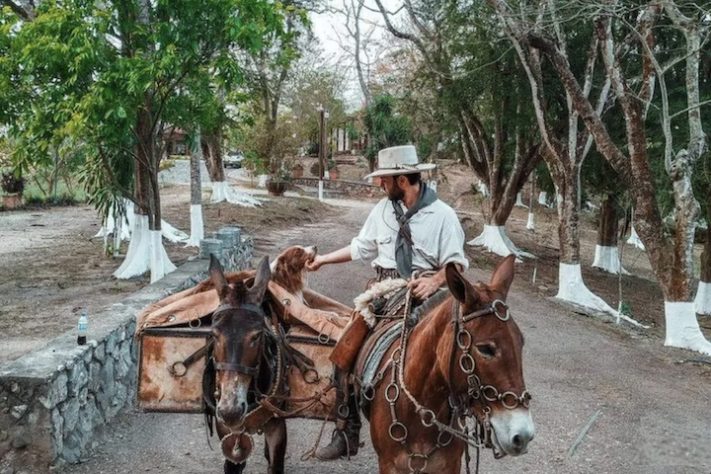 Engenheiro brasileiro quer atravessar 10 mil km dos Estados Unidos ao Brasil montado em mula - Divulgação