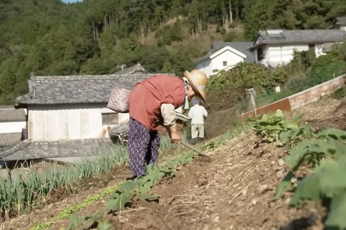 População agrícola do Japão está envelhecendo cada vez mais - Reprodução/YouTube