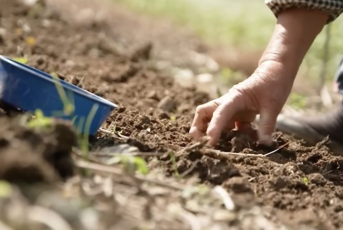 População idosa que vive no interior do Japão enfrenta condições extremas para manter viva tradição milenar