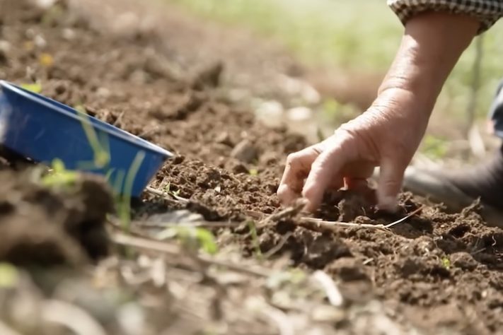 População agrícola do Japão está envelhecendo cada vez mais - Reprodução/YouTube