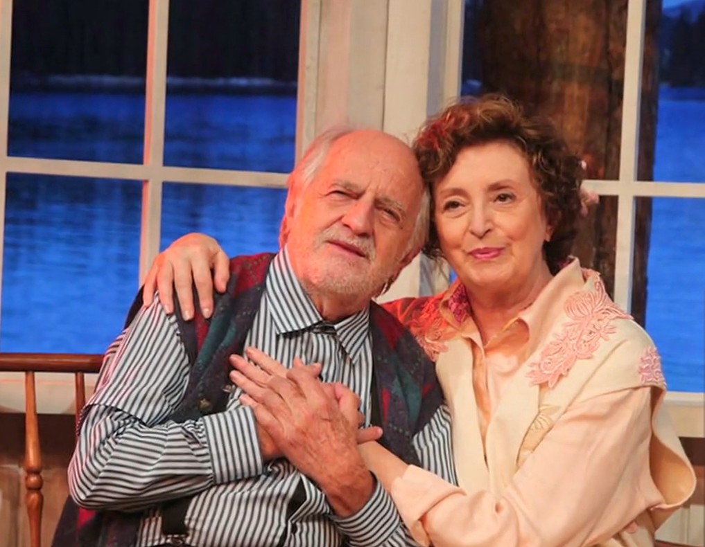 No teatro, Ana LÃºcia Torre participou de numerosas montagens ao longo da carreira, incluindo â??Rasga CoraÃ§Ã£oâ?, â??Eles NÃ£o Usam Black-Tieâ?, 