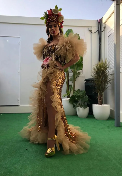 Mais recentemente, voltou a homenageá-la ao surgir caracterizada como a artista no carnaval carioca. Até agora, não houve confirmação oficial por parte de Anitta. Caso o acerto se concretize, o trabalho pode marcar um novo e relevante passo na carreira artística da cantora.