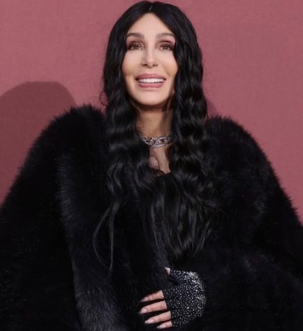 Cantora Cher - Reprodução @cher