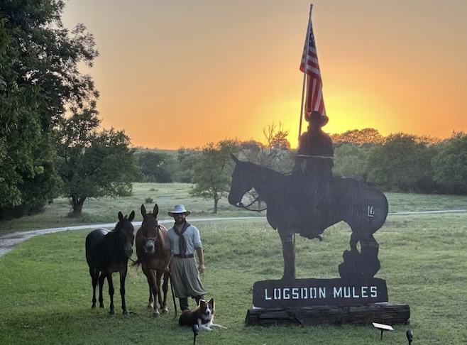 A segunda, e mais complexa, começou em outubro de 2024 em Fort Worth, no Texas, de onde Pedro partiu para retornar ao Brasil montado nas mulas Ada e Oklahoma. 