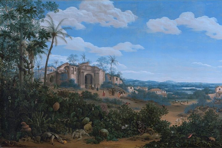 <p>A cidade teve papel central no período colonial, especialmente durante o ciclo da cana-de-açúcar, quando se tornou um importante centro econômico, político e religioso do Nordeste.</p>
