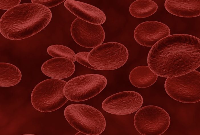 Glóbulos vermelhos - Freepik/kjpargeter