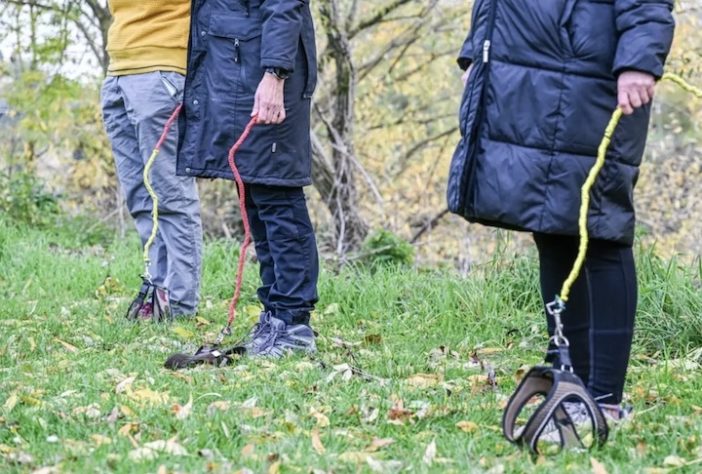 'Hobby Dogging', prática de passear com cães invisíveis ganha adeptos na Alemanha - Reprodução/X 