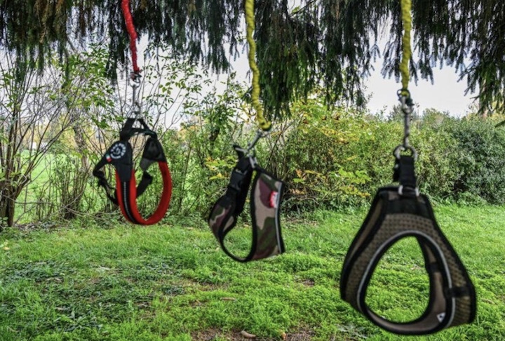 Para os seus adeptos, a atividade funciona como uma ferramenta de alívio de estresse, servindo tanto como um exercício físico leve quanto como uma oportunidade de socialização. 