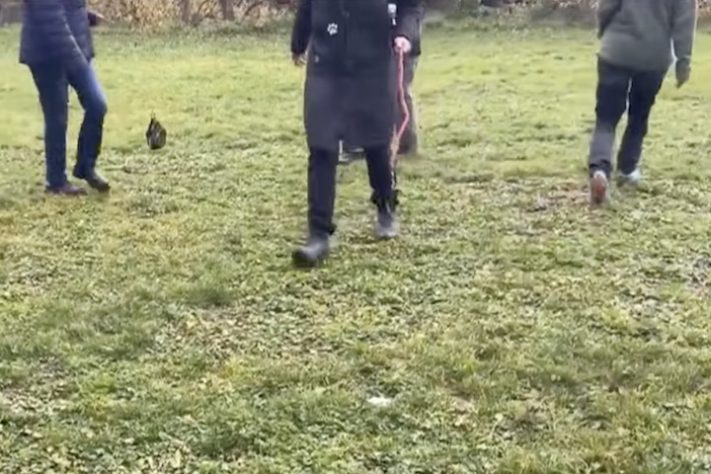 'Hobby Dogging', prática de passear com cães invisíveis ganha adeptos na Alemanha - Reprodução/TV Record