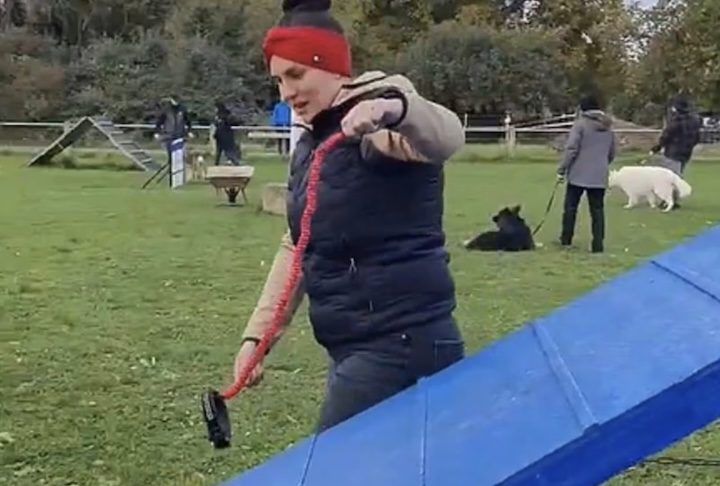 'Hobby Dogging', prática de passear com cães invisíveis ganha adeptos na Alemanha - Reprodução/X/tomdabassman