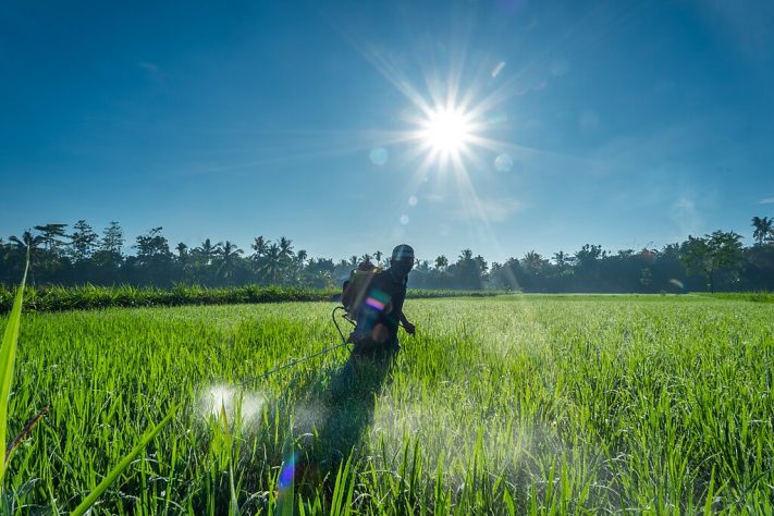 Aplicação de agrotóxico/herbicida - Wikimedia Commons/Anis Mujahid Akbar