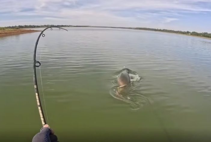 Pescador de Cardoso (SP) quebra próprio recorde ao pescar pirarucu com 160 kg e mais de dois metros de comprimento — Reprodução/YouTube Rei do Pirarucu