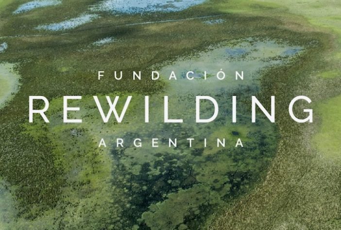 Rewilding Argentina - Reprodução