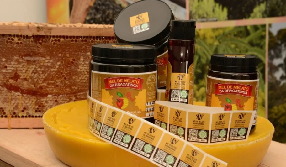 O selo de Epagri — Empresa de Pesquisa Agropecuária e Extensão Rural de Santa Catarina, vinculada ao governo do estado — garantiu rastreabilidade e autenticidade, valorizando o produto e profissionalizando os apicultores.