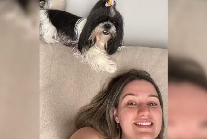 Shih tzu morre esquecida em carro de pet shop no interior paulista