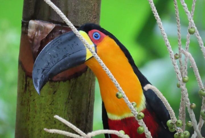 O local é descrito como um refúgio de natureza e 