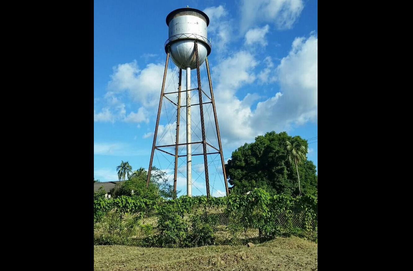 A icÃŽnica Caixa Dâ??Ã¡gua de metal domina o horizonte de FordlÃ¢ndia. Para quem se arrisca a subir, oferece uma vista panorÃ¢mica do Rio TapajÃ³s, o sÃ­mbolo mÃ¡ximo da cidade e um dos pontos mais fotografados pelos visitantes.