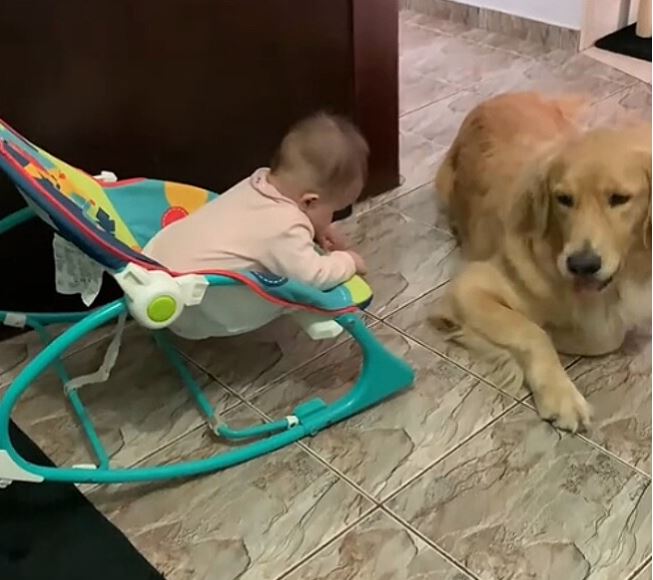 Ariane compartilhou o registro no TikTok em 20 de abril de 2025, no perfil @arianeoliveira_mua. O vÃ­deo viralizou, alcanÃ§ando mais de 527 mil visualizaÃ§Ãµes e milhares de comentÃ¡rios. A cena reforÃ§a como a convivÃªncia entre bebÃªs e pets pode ser segura, especial e cheia de amor.