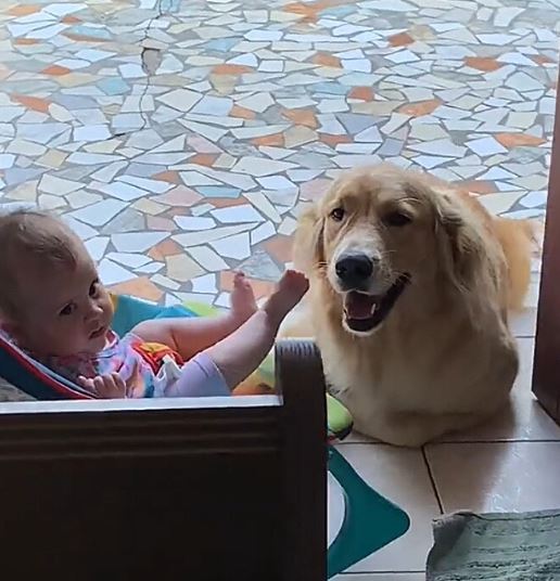 Ariane Oliveira, de Sorocaba, é mãe da pequena Olívia, de seis meses, e tutora da golden retriever Leona. A convivência entre bebê e pet mostra uma relação marcada por carinho, atenção e companheirismo. Leona acompanha cada momento da rotina, como trocas de fralda, mamadas e sonecas, agindo como uma irmã mais velha.
-TikTok/@arianeoliveira_mua