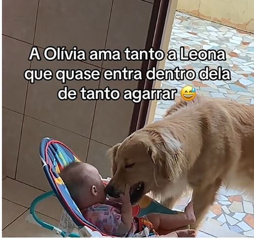 Em um dos episÃ³dios mais fofos, Ariane deixou OlÃ­via na cozinha e pediu que Leona a distraÃ­sse. A cachorra se aproximou com delicadeza, oferecendo lambidas e brincadeiras para entreter a bebÃª. O flagra emocionou Ariane, reforÃ§ando sua decisÃ£o de permitir que filha e pet cresÃ§am juntas.