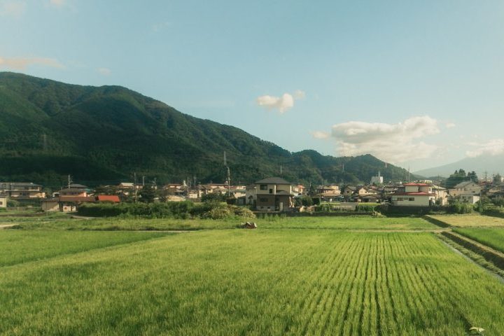 Em meio Ã  previsÃ£o de que o paÃ­s pode perder um terÃ§o de suas fazendas tradicionais atÃ© 2035, essas figuras se tornaram guardiÃ£s de um modo de vida que estÃ¡ desaparecendo, preservando a cultura do arroz e a memÃ³ria rural japonesa.