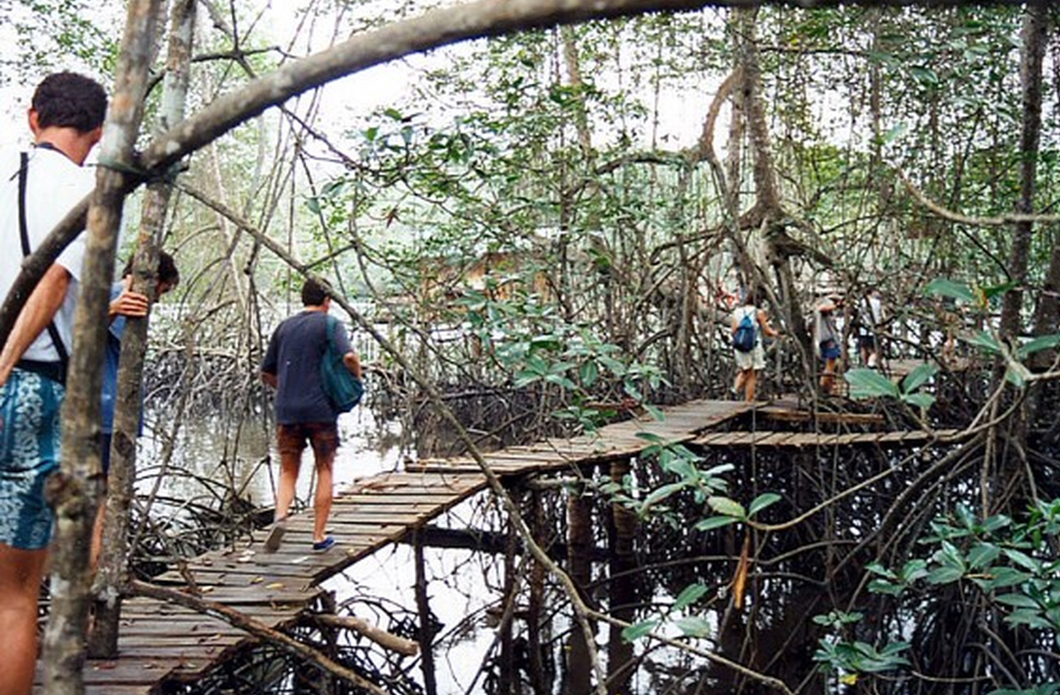 Manguezais “em movimento”: Descubra a metamorfose natural de Muisne, no Equador