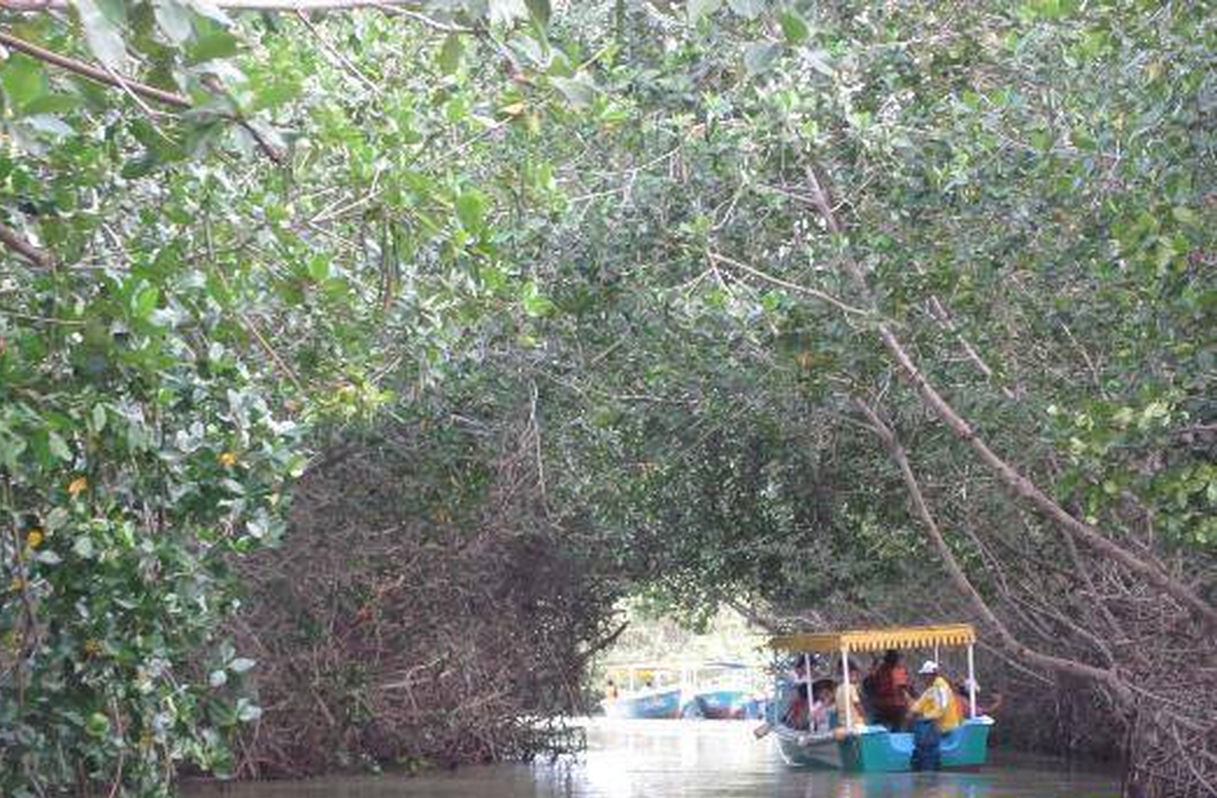 A paisagem em constante transformação atrai visitantes interessados em ecoturismo: trilhas, passeios de barco e observação de fauna são atividades comuns. O turismo sustentável pode gerar renda e incentivar a preservação.