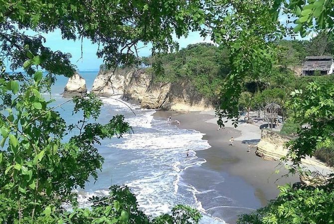 Quando a floresta de mangue caminha: a metamorfose natural de Muisne