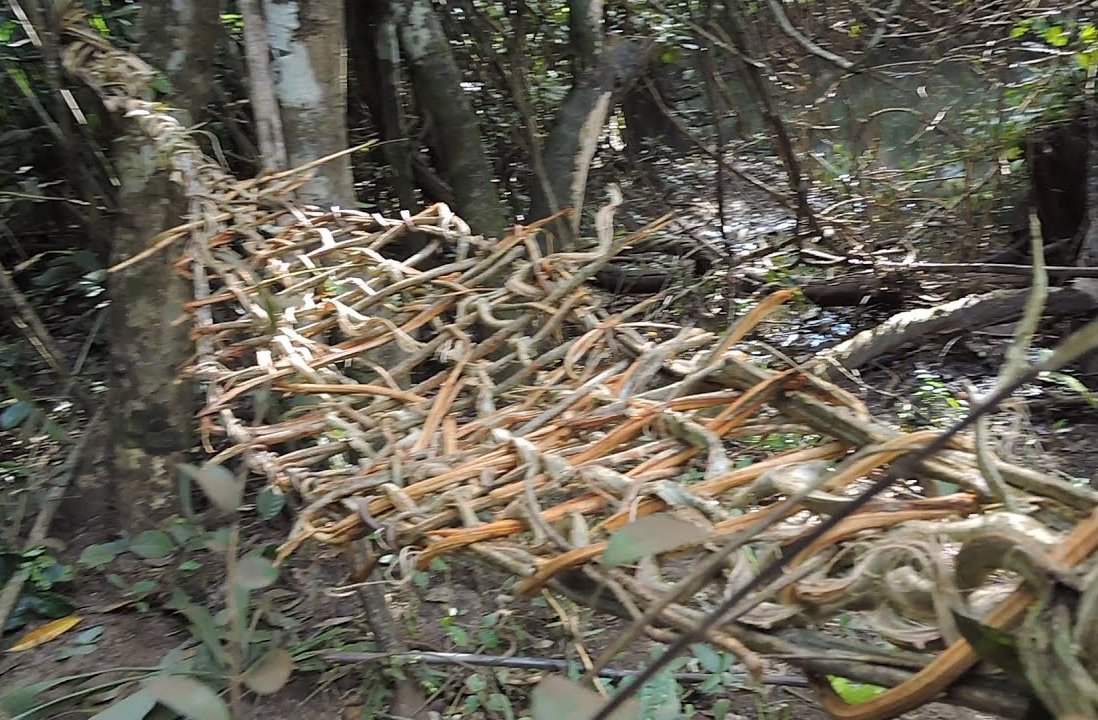 Acredita-se que as redes de descanso surgiram na área amazônica do Orinoco, por volta de 2500 a.C.. O primeiro a registrar o seu uso no Brasil foi Pero Vaz de Caminha, em 1500, que descreveu as 