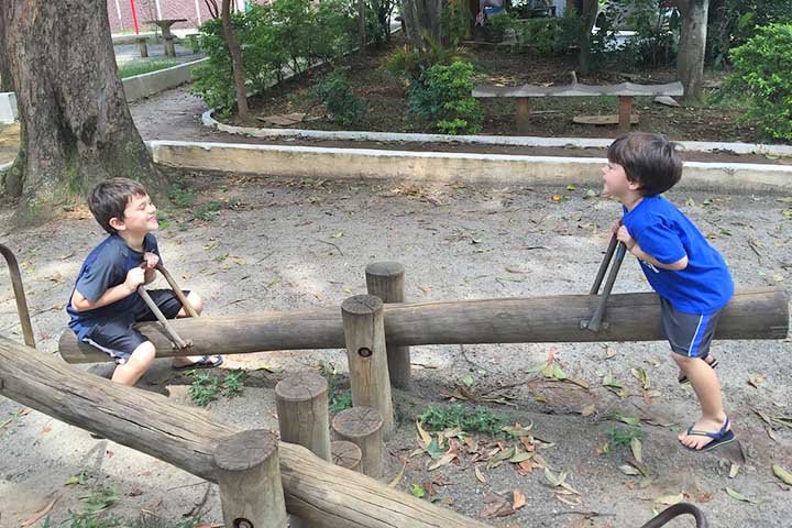 A gangorra é um dos brinquedos mais antigos e universais. Diverte as crianças em parques e quintais pelo mundo. Suas origens remontam a simples troncos e traves usados como alavancas para o sobe e desce. Saiba curiosidades sobre esse brinquedo simples e divertido.  -  (crédito:  Reprodução do Flickr Marco Peres)