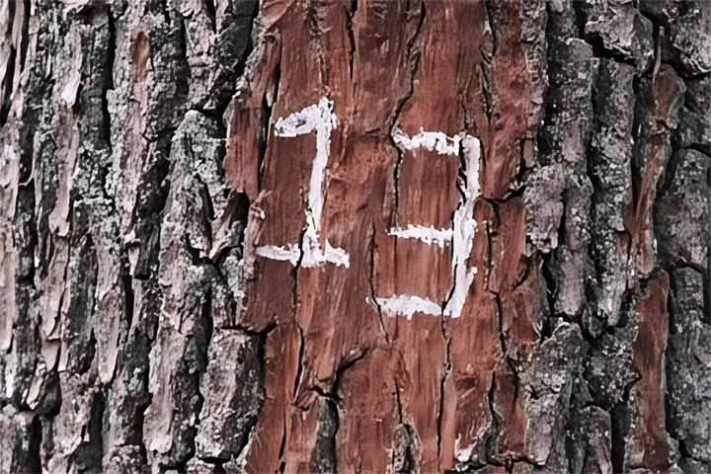 Fobias humanas curiosas