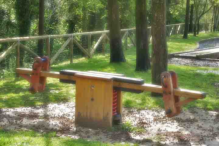 <p>Em Portugal e em outras partes da lusofonia, o brinquedo é frequentemente chamado de balancé. Lá também se usa “sobe-e-desce” para descrever a ação de subir e descer alternadamente.</p>
