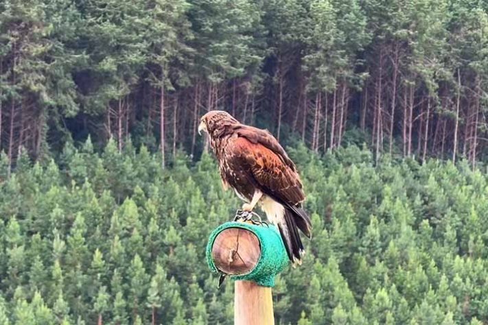 Monte Verde, a 'Suíça mineira'