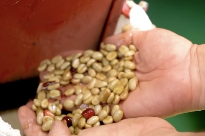 Café solúvel - Reprodução/YouTube