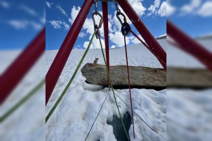 Chihuahua salva dono que caiu numa fenda em uma geleira na Suíça – Reprodução/Air Zermatt AG