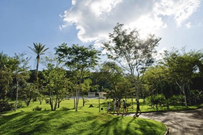 Instituto Inhotim, Minas Gerais - Reprodução Facebook
