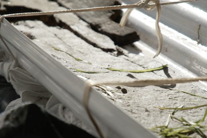 Lago Mendota, Wisconsin, Estados Unidos – Divulgação/Sociedade Histórica de Wisconsin